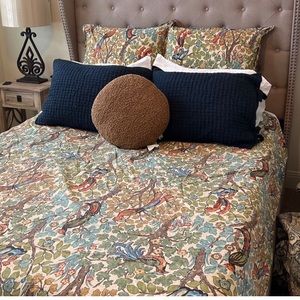 Pottery Barn Duvet and Two Eruos ( other pillows not included) queen size